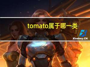 tomato属于哪一类