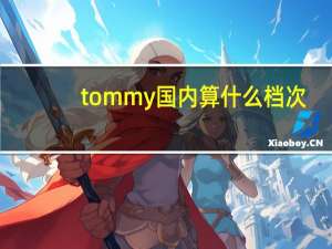 tommy国内算什么档次