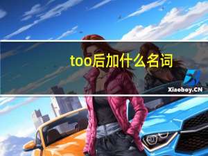too后加什么名词