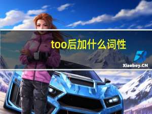 too后加什么词性