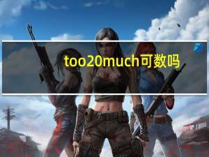 too much可数吗