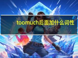 too much后面加什么词性