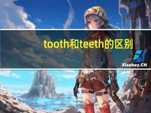 tooth和teeth的区别