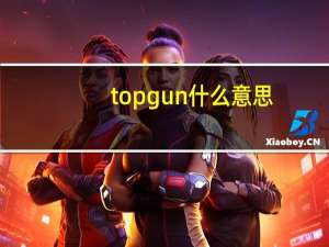 top gun什么意思