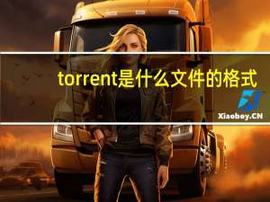 torrent是什么文件的格式（torrent是什么文件）