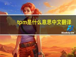 tpm是什么意思中文翻译（tpm是什么意思）
