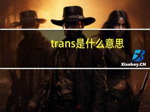 trans是什么意思
