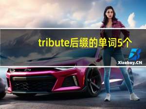 tribute后缀的单词5个