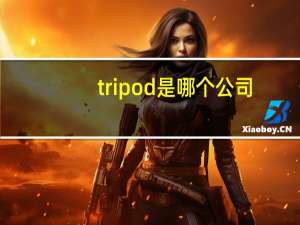 tripod是哪个公司