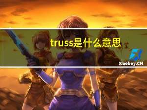 truss是什么意思？