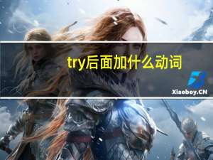 try后面加什么动词