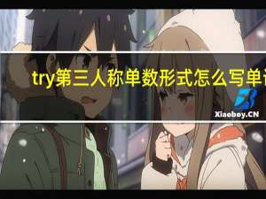 try第三人称单数形式怎么写单词