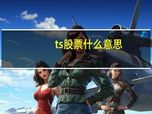 ts股票什么意思