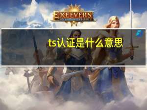 ts认证是什么意思
