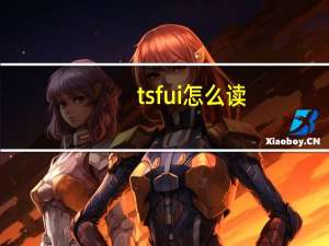 tsfui怎么读（tsf ui）