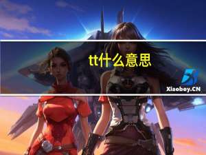 tt什么意思