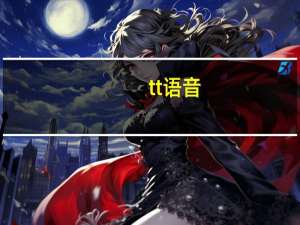 tt语音（tty）