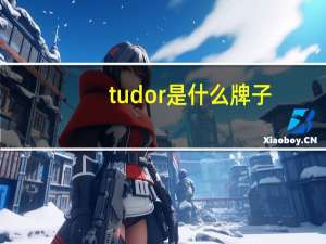 tudor是什么牌子