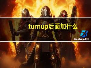 turn up后面加什么