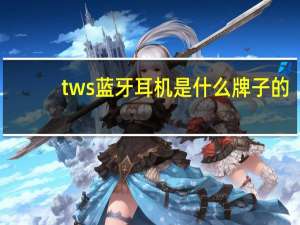 tws蓝牙耳机是什么牌子的（tws蓝牙耳机是什么意思）