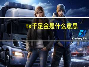 tx千足金是什么意思