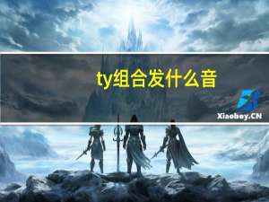 ty组合发什么音