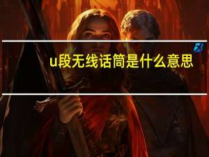 u段无线话筒是什么意思