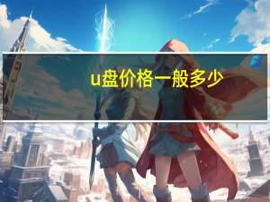 u盘价格一般多少（u盘价格）