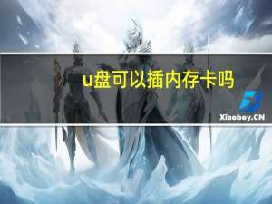 u盘可以插内存卡吗