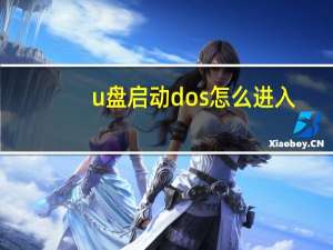 u盘启动dos怎么进入（u盘启动dos）