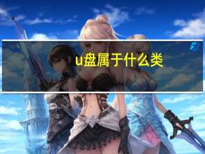 u盘属于什么类