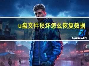 u盘文件损坏怎么恢复数据（u盘重装系统步骤）