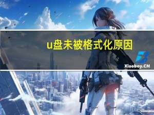 u盘未被格式化原因（u盘未被格式化）