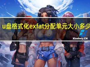 u盘格式化exfat分配单元大小多少合适（exfat分配单元大小多少合适）