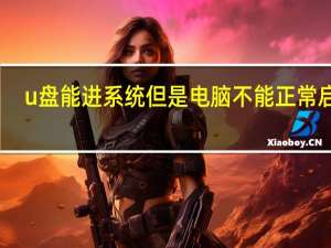 u盘能进系统但是电脑不能正常启动（电脑不能正常启动）