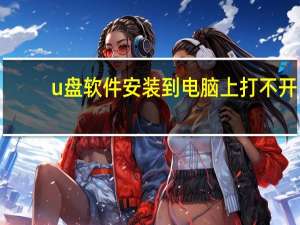 u盘软件安装到电脑上打不开（u盘软件安装到电脑）