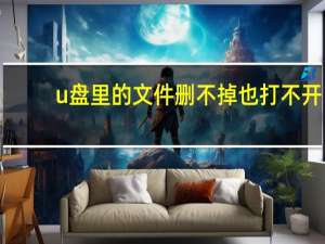 u盘里的文件删不掉也打不开（u盘里的文件删不掉）