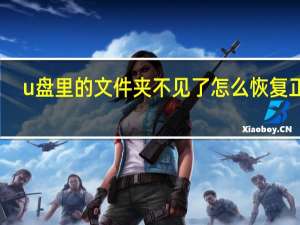 u盘里的文件夹不见了怎么恢复正常（u盘里的文件夹不见了）