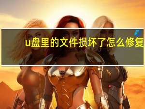 u盘里的文件损坏了怎么修复（u盘坏了怎么修复）