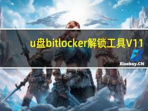 u盘bitlocker解锁工具 V11.4 绿色免费版（u盘bitlocker解锁工具 V11.4 绿色免费版功能简介）