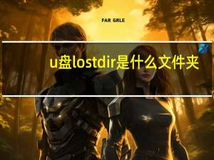 u盘lostdir是什么文件夹