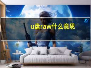 u盘raw什么意思（u盘raw）