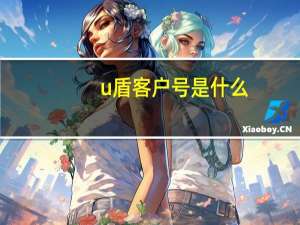 u盾客户号是什么（u盾客户端软件）