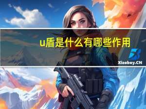 u盾是什么 有哪些作用（u盾）