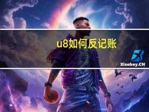 u8如何反记账