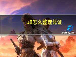 u8怎么整理凭证