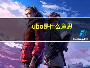 ubo是什么意思