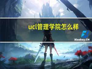 ucl管理学院怎么样
