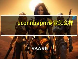 uconn bapm专业怎么样