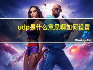udp是什么意思啊如何设置（udp是什么意思）